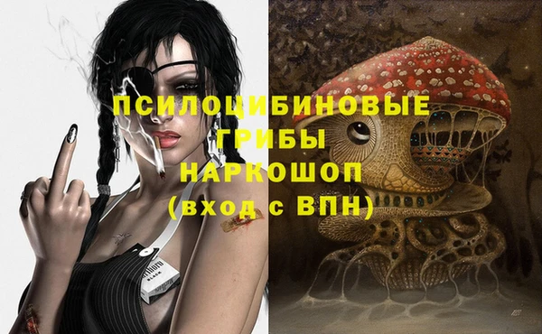 амф Дмитров