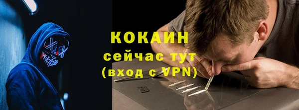 бошки Гусев