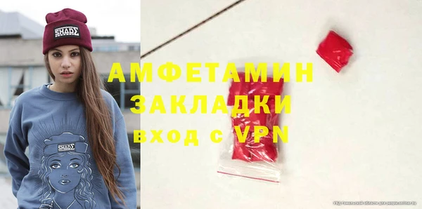 амф Дмитров