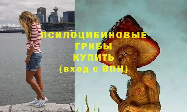 таблы Гусь-Хрустальный