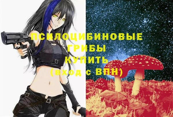 2c-b Дмитриев